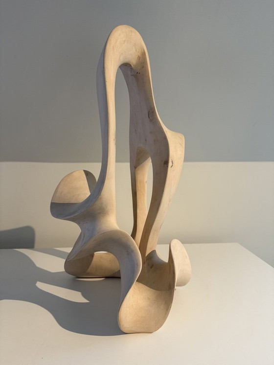 Image 1 of LA VAGUE - 2014 - NORBERT BAUWENS