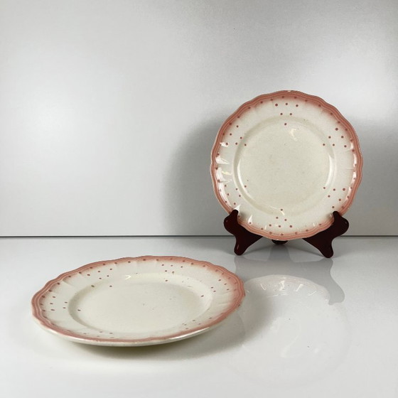 Image 1 of Set of 2 pink Salins-les-Bains plates, pre-1970
