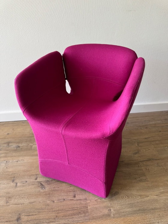 Image 1 of Moroso Bloomy