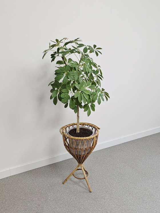 Cesto da cucito vintage in rattan, cesto per lavori, Porta piante, Beige (foto 11 di 11)