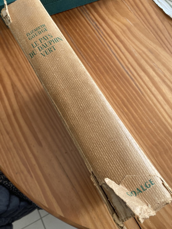 Image 1 of La terra del delfino verde