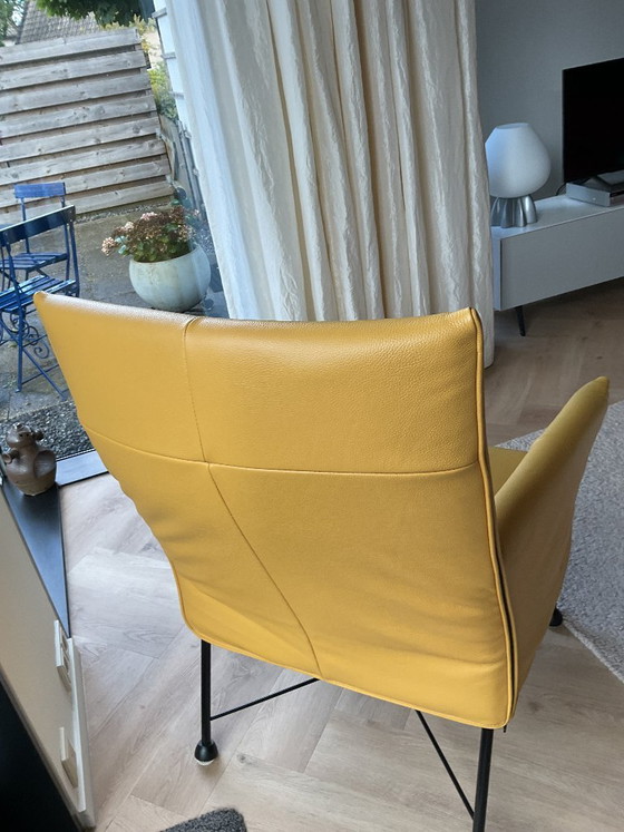 Sillones Montis Charly – Leather, Metal (photo 5 of 5)