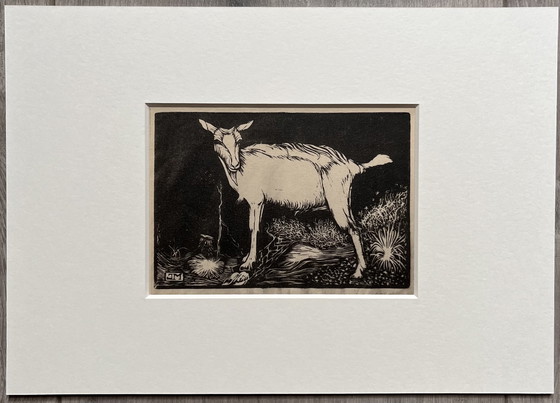 Image 1 of Jan Mankes 1889-1920 / Original Heliogravüre Ziege 1923