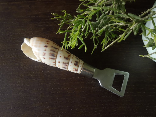 Apribottiglie vintage unico degli anni '60-'70 con manico a conchiglia.