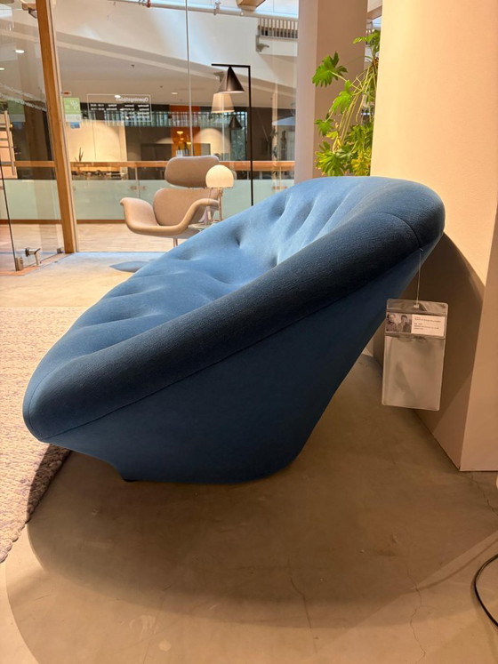 Ligne Roset Ploum Medium Canapé, Sofà, Tessile, Blu (foto 3 di 5)