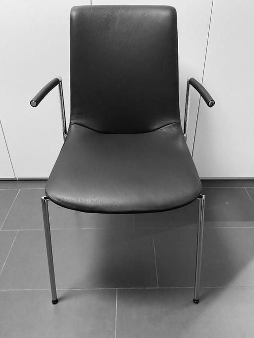 De Sede Ensemble de chaises DS 717/62/H88