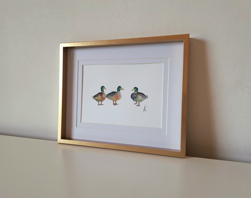 Aquarel schilderij drie eenden | Origineel inclusief lijst