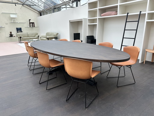 8x bertoia side chair zadelleder