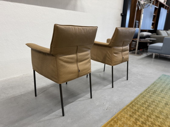 Image 1 of 2 Design on Stock Gola Dining Chairs Loxton Desert leather