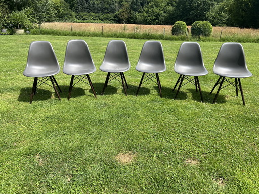6x Vitra  DWS chairs