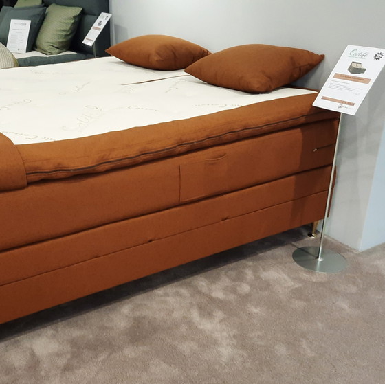 Image 1 of Ecolife Beds Agave box spring - 180x210 regolabile elettricamente