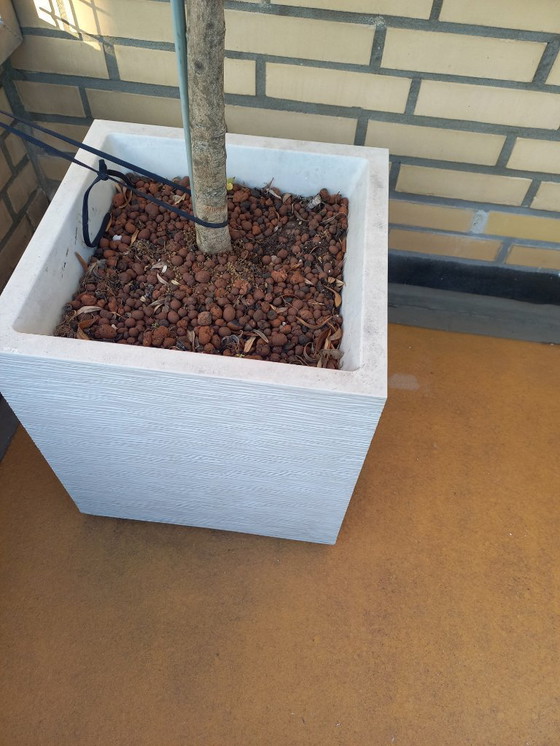 Image 1 of 2 x white planters elho