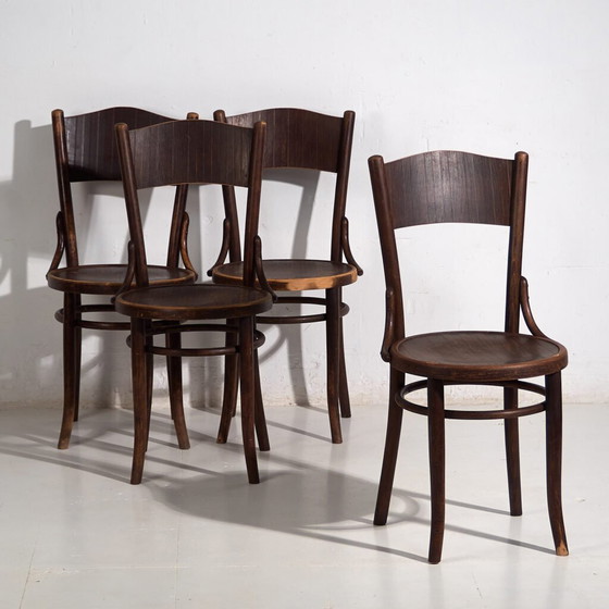 Thonet-Mundus antique bentwood chairs (c.1920). Set of 4 pieces #3 – Dining chairs (photo 4 of 40)