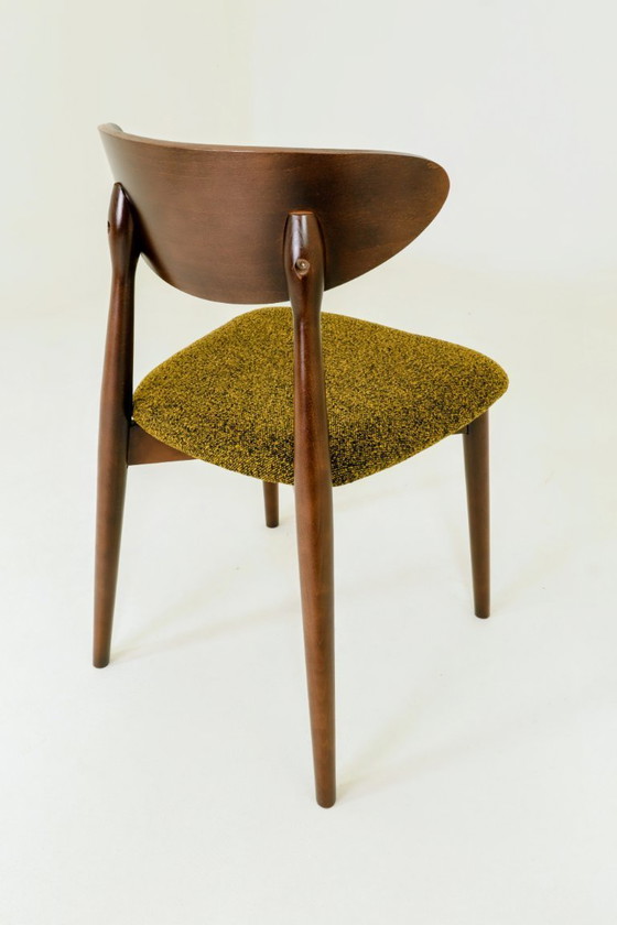 Image 1 of 6er-Set Moderner Buchenholz-Esszimmerstuhl, Bouclè gelb, Holz dunkel