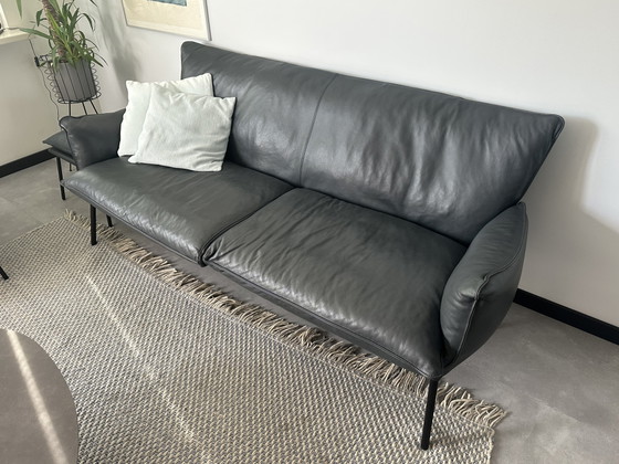 Il nuovo mondo di Bree - Divano a 3 posti Gaucho – Bree's New World, Divani 3 posti, Leather (photo 5 of 5)
