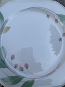 Pontesa Spain 9 dinner plates berries/leaf motif