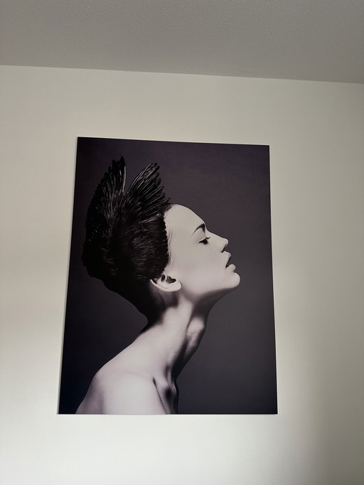 Boconcept black swan metal print - Frida Uma