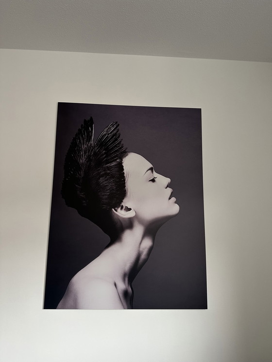 Image 1 of Boconcept black swan metal print - Frida Uma