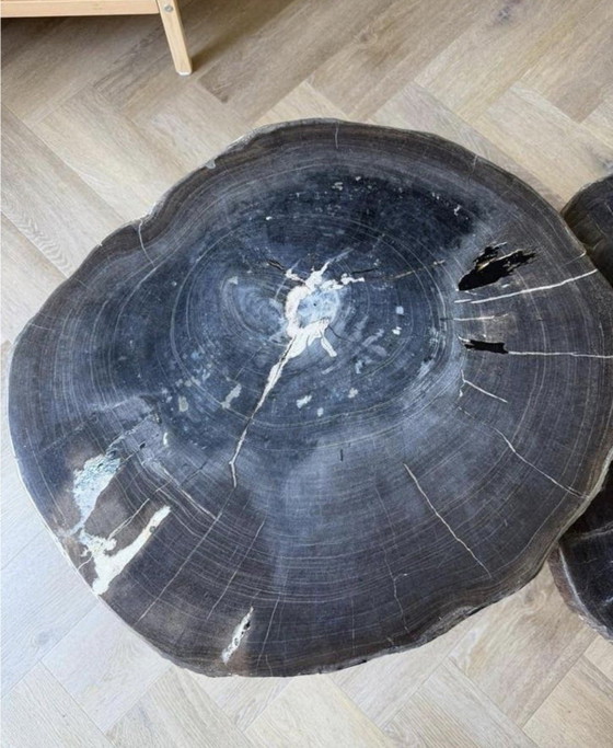 Image 1 of Salontafelset versteend hout