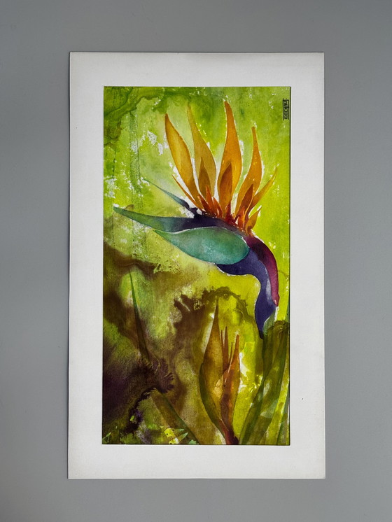 Image 1 of Eugène Eechaut (1928-2019) - Strelitzie - 1968. Signé