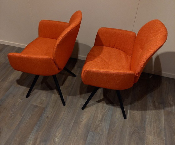 Image 1 of enset Mood 99 S/2