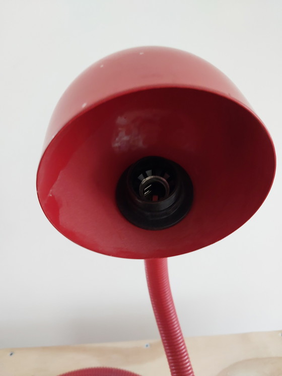 Image 1 of Rotes Schlangenlicht