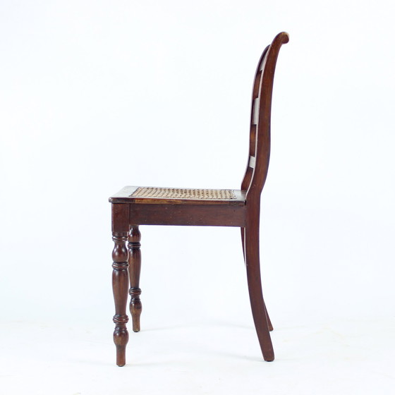 Image 1 of Chaise en bois et en rotin, Tchécoslovaquie, années 1910