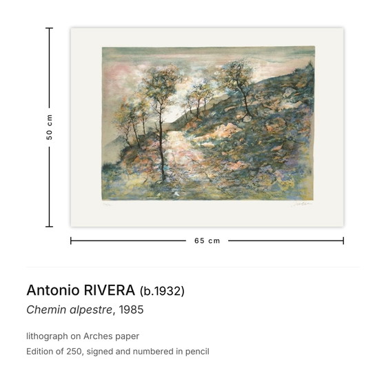 Antonio Rivera Litografía firmada Chemin Alpestre 1985 – Litografías y grabados, Paper (photo 3 of 5)