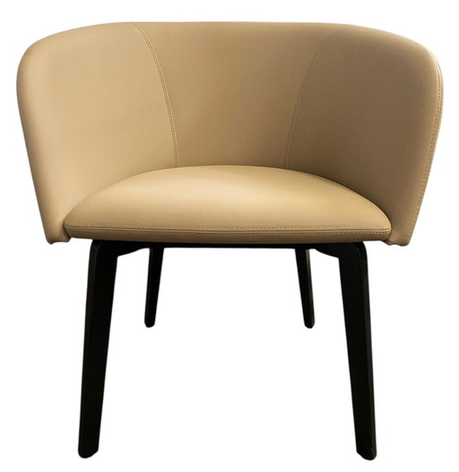 6x Fauteuil NowyStyl Nauda. Nouveau.