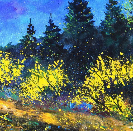 Image 1 of Yellow brooms