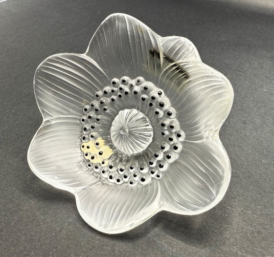 Image 1 of Lalique - Anemoon
