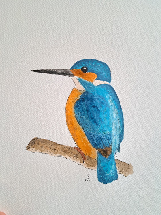 Image 1 of Dipinto ad acquerello di un martin pescatore | Lista nera
