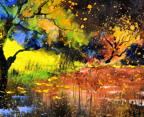 Image 1 of Eaux calmes dans un bois sombre