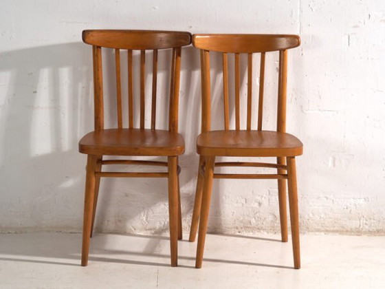 Antique chairs in TON bentwood – Czechoslovakia, circa 1960 #9 – Dining chairs (photo 32 of 40)