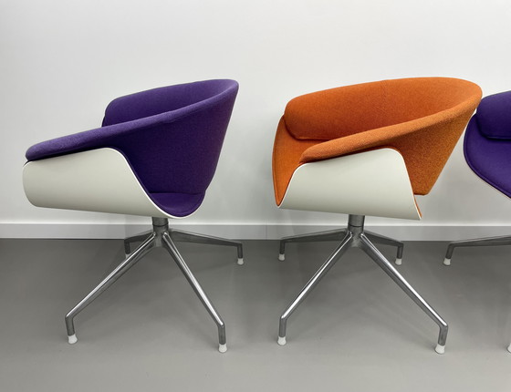 Image 1 of B&B Italia Sina Schalensitze 4 Stück