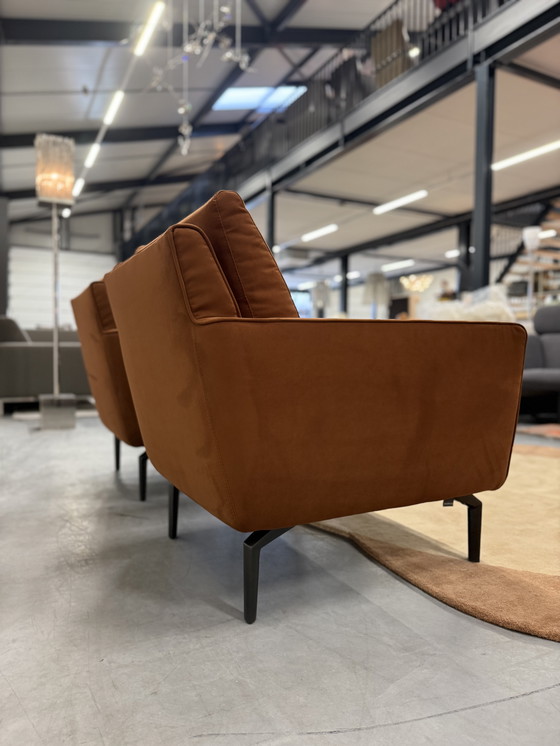 Image 1 of 2 Evidence Sarena Fauteuils Tendor Cinnamon