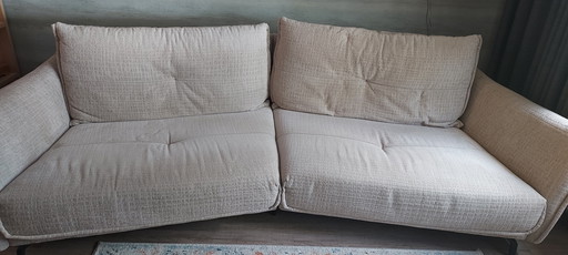 Banc Albi Henders & Hazel 4 places