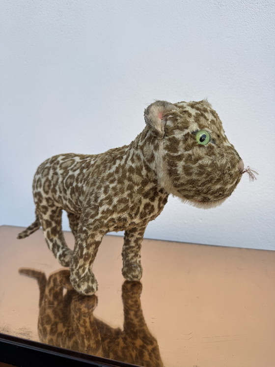 STEIFF pluche luipaard uit de jaren 50 – Decoratieve objecten, Textile (photo 8 of 15)