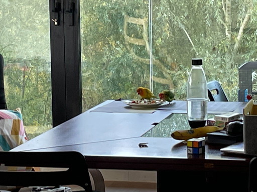 Elm conference / dining table, seats 4-12, van den Berghe