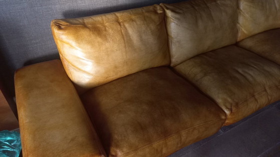 Molinari sofa – 3-5 seaters, Leather (photo 5 of 12)