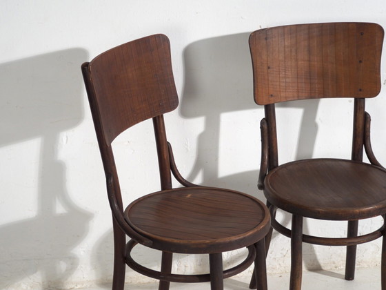 Pair of Thonet style bentwood chairs with curved board back – Central Europe, circa 1920 – Dining chairs (photo 14 of 40)