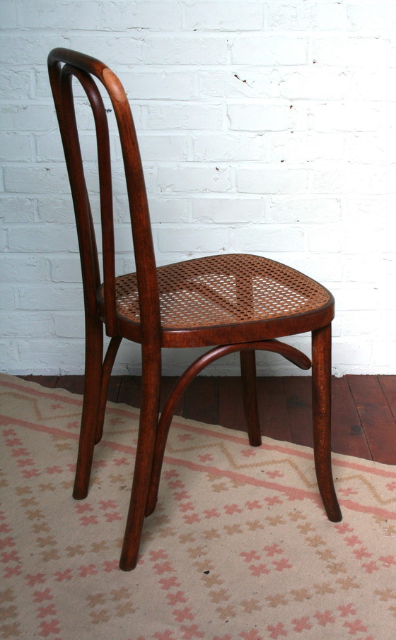 Image 1 of Alter restaurierter Thonet Typ N°391