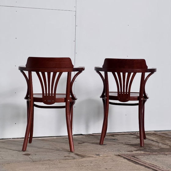 Image 1 of Paire de chaises hongroises Sellaton, années 2000 — Design contemporain