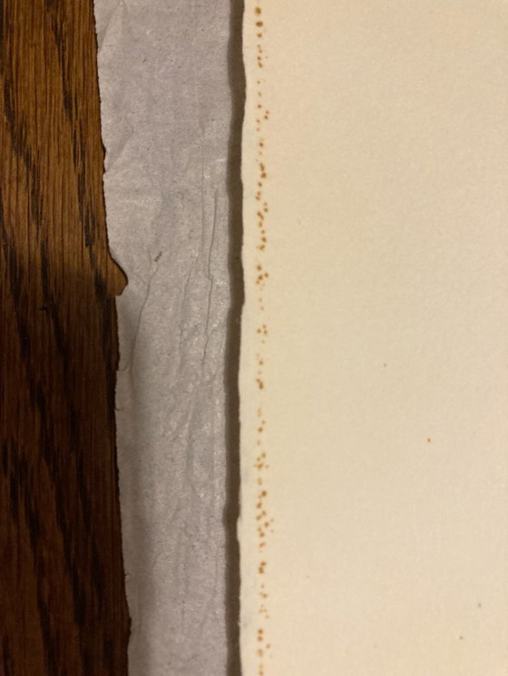 Image 1 of Litografia Wolfgang Gafgen