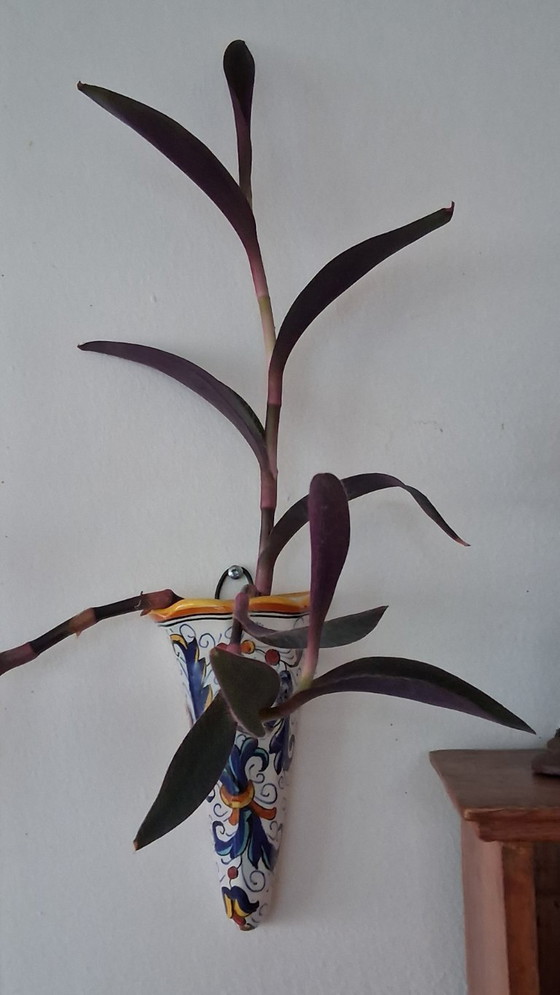 Image 1 of 2 vasi da parete Deruta