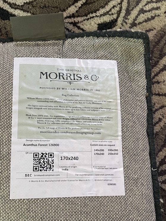 Image 1 of Alfombra de acanto Brink and Campman Morris & Co