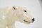 Large Porcelain Polar Bear Sculpture from Royal Dux, Czechoslovakia, 1925 (photo 16 of 16)