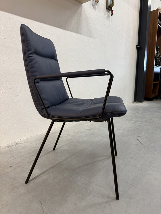 Image 1 of (1) KFF Arva Light Dining Chair with Arms Blue Leather