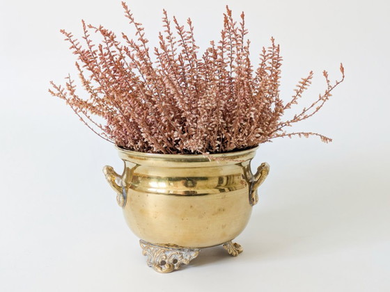 Fioriera vintage in ottone con piedini e manici decorati. – Vasi per piante, Brass (photo 12 of 15)