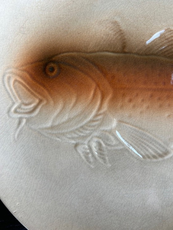 Image 1 of 6 piatti di pesce Saint Amand